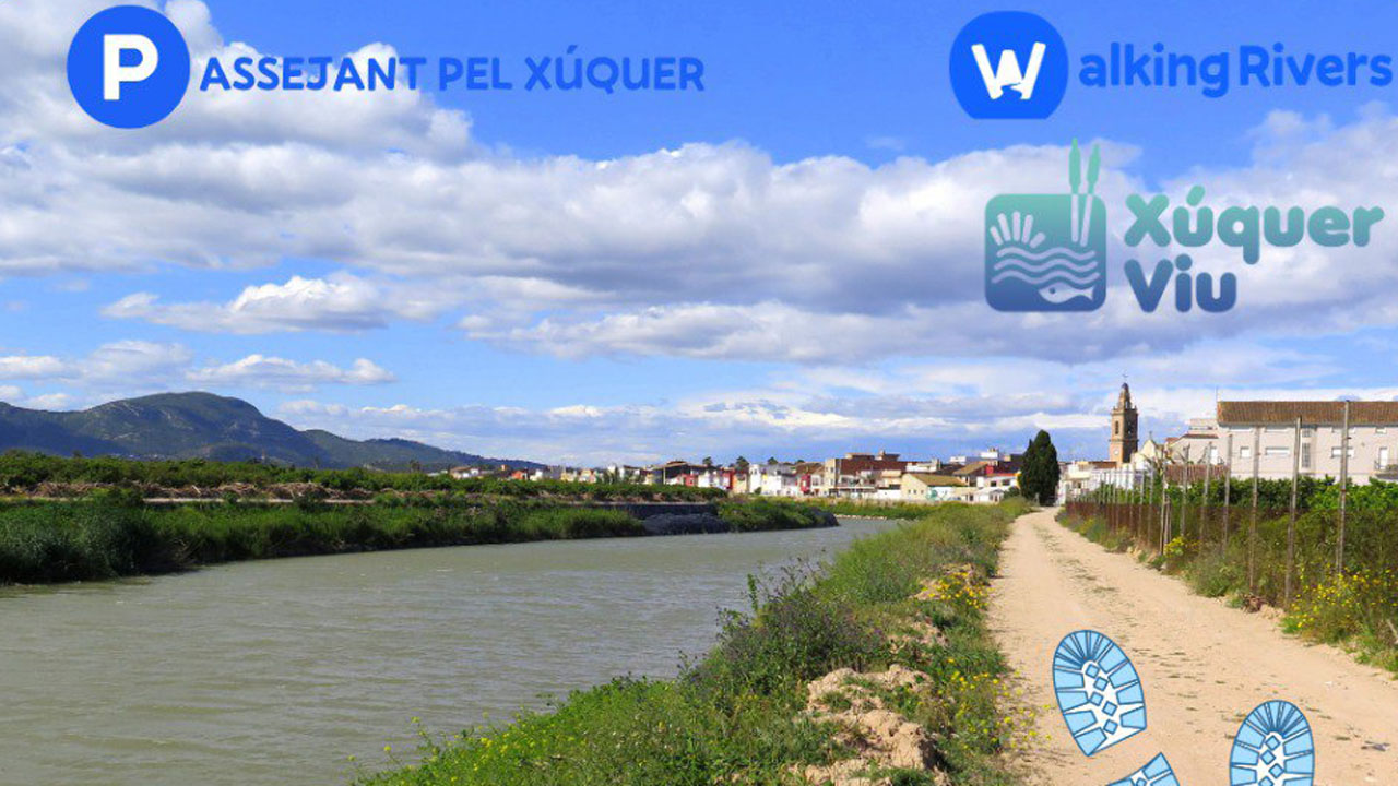 Xúquer Viu organitza una passejada pel Xúquer dins de la iniciativa mundial “Walking Rivers”