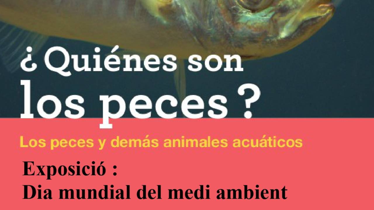 La Barraca d’Aigües Vives commemora el Dia Mundial del Medi Ambient amb una exposició sobre la vida aquàtica i la compassió animal