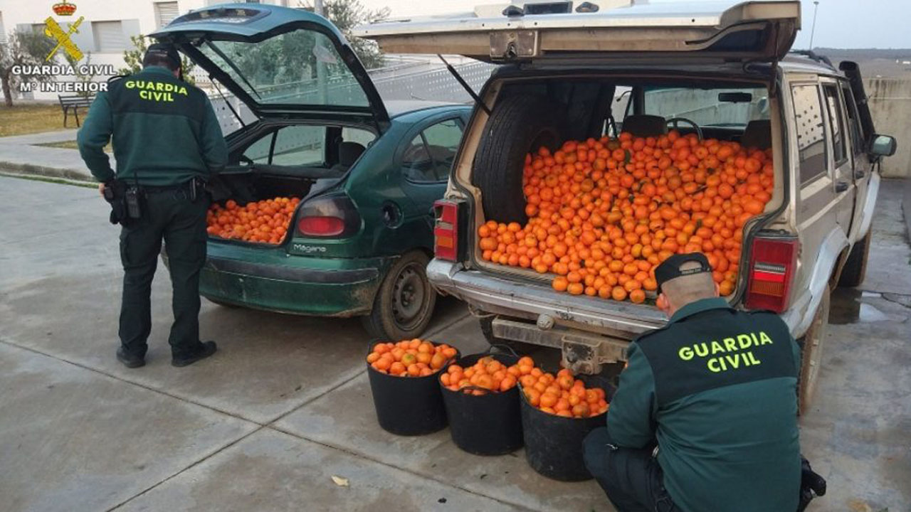 La Unió denuncia que només es resol un de cada quatre robatoris produïts al camp valencià