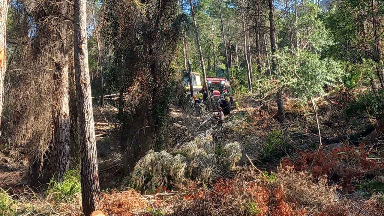 L’Ajuntament d’Alzira agraïx el treball del voluntariat forestal i la responsabilitat de la ciutadania durant esta segona onada de calor
