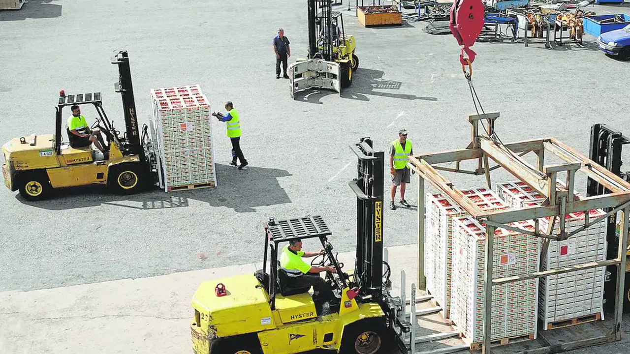 La Unió exigix a la Comissió Europea que establisca preus d’entrada superiors als actuals per a les importacions de cítrics