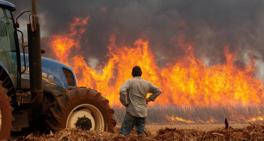 El vicepresident d’AVA, Bernardo Ferrer, alerta que l’abandonament del camp incrementa el risc d’incendis