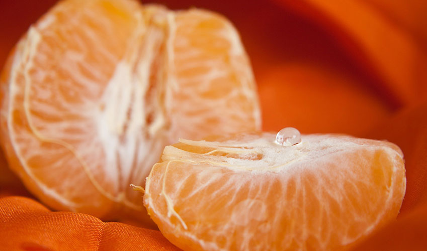 Les exportacions del sector agroalimentari valencià deixen un superàvit de més de 2.000 milions d’euros en el primer trimestre de 2025