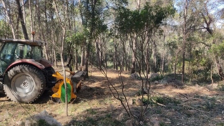 Alzira crea grups d’alerta primerenca i responsables de zona per a protegir la població davant emergències