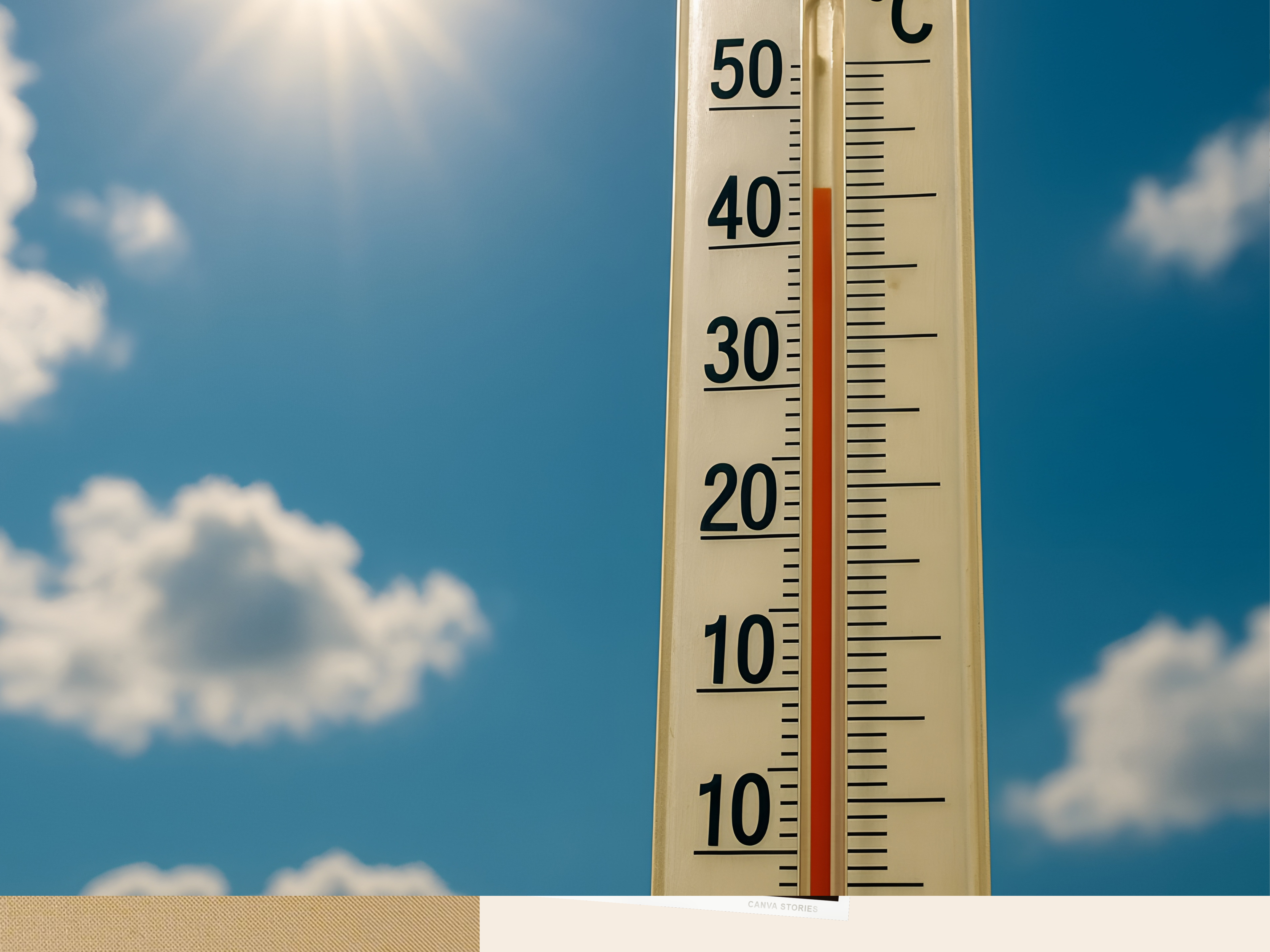 Alzira s’acosta als 40 graus: Risc màxim per a la salut de les persones per les altes temperatures i risc màxim pel perill d’incendis forestals.