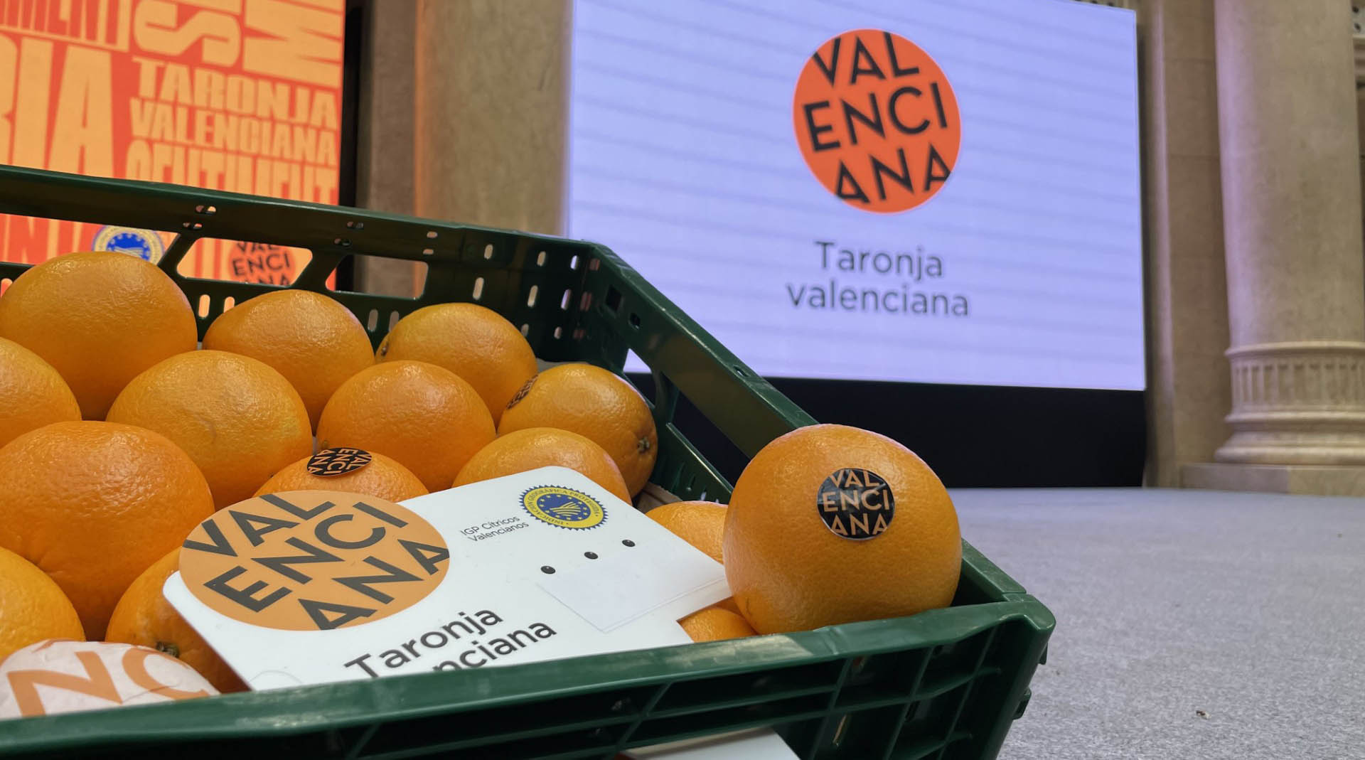 La Unió denuncia falta de transparència d’Agricultura en la gestió de vora milió i mig d’euros destinats als cítrics valencians