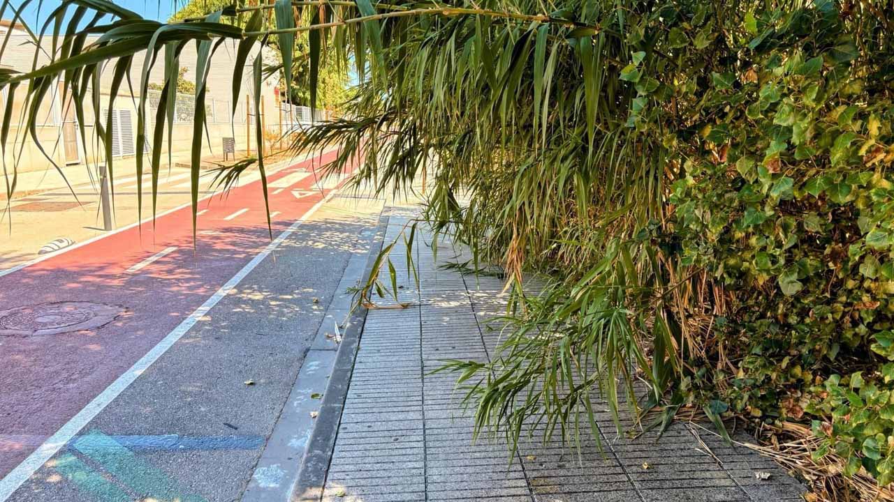 La comunitat educativa de Tulell es reunix amb regidors i tècnics per a buscar solucions a l’estat de brutícia i abandó dels solars