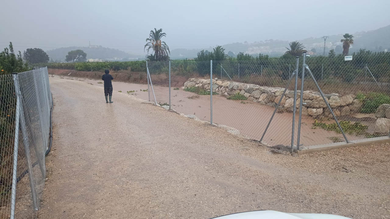 Balanç positiu per al camp alzireny de caquis i cítrics, malgrat que el camí del barranc de la Casella torna a quedar intransitable