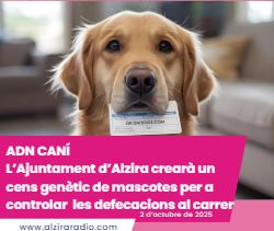 Alzira implantarà l’ADN caní per acabar amb les defecacions dels gossos en la via pública
