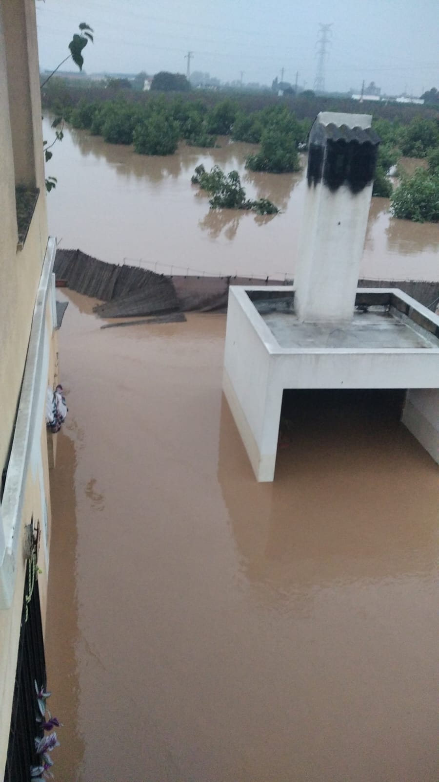 María Carchano: el testimoni d’una veïna d’Alzira que va ser rescatada a causa de la dana