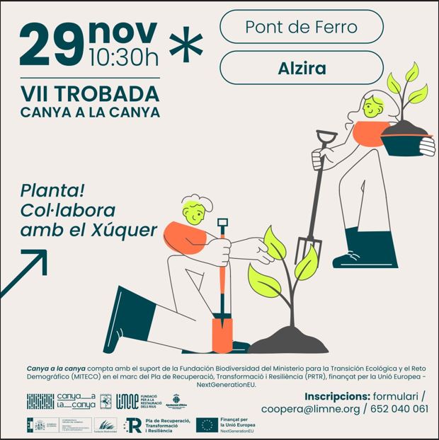 • El projecte Canya a la Canya celebra el seu seté encontre a Alzira amb un plantació de bosc de Ribera.