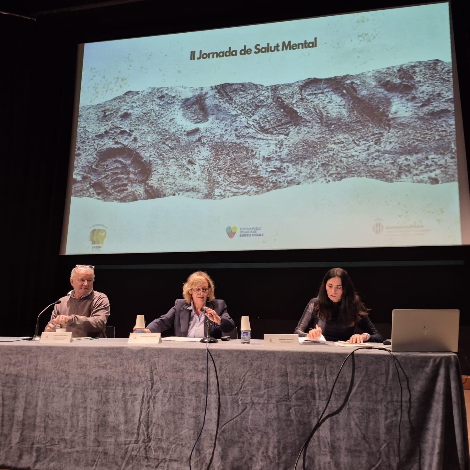 50 professionals de l’àmbit de la psicologia, la sanitat i la educació analitzen en Alzira la reconstrucció emocional després de la dana