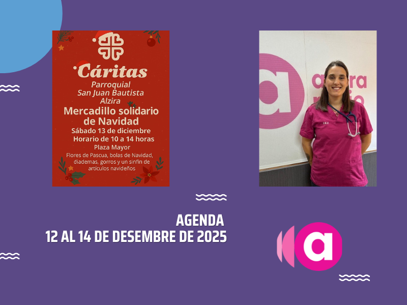 AGENDA: mercat solidari de Nadal i curs per a gestionar les colònies felines