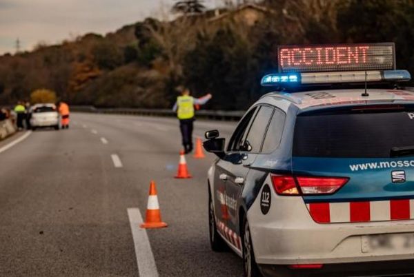 Mor a Tarragona una jove alzirenya en un accident de cotxe provocat per un porc senglar.