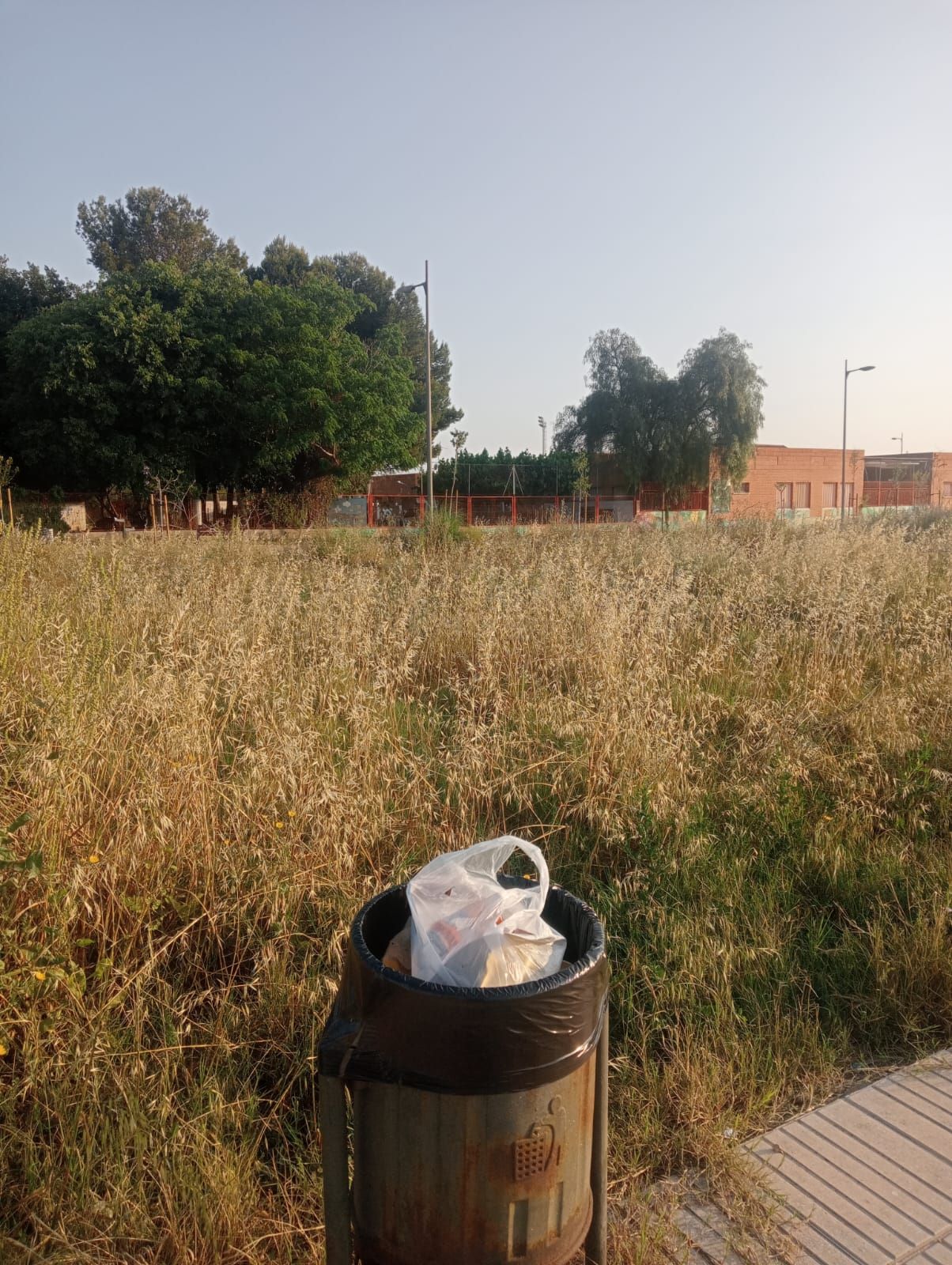 El Partit Popular denuncia la inacció del govern per la brutícia que s´acumula a la zona del Tulell.