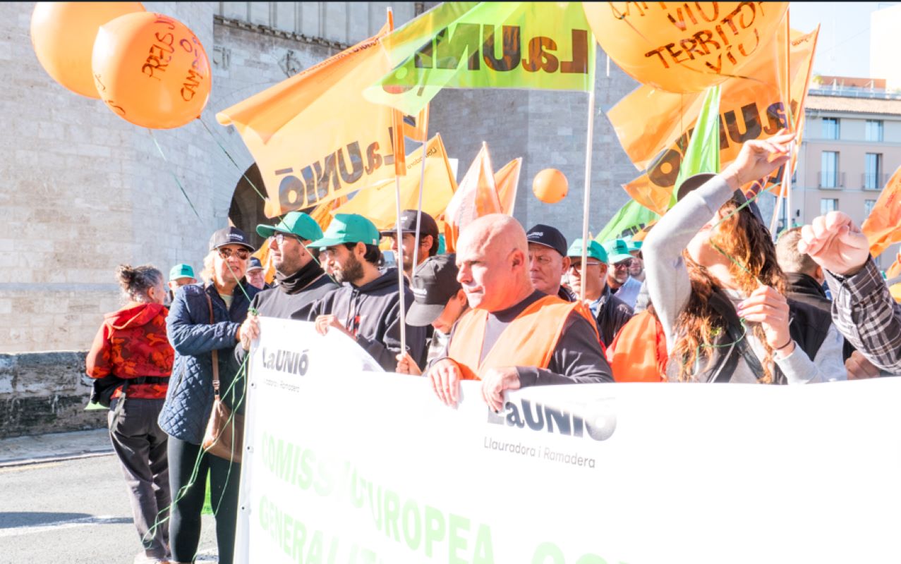 El Parlament Europeu durà el tractat de Mercosur al Tribunal de Justícia com han demanat les associacions agràries.