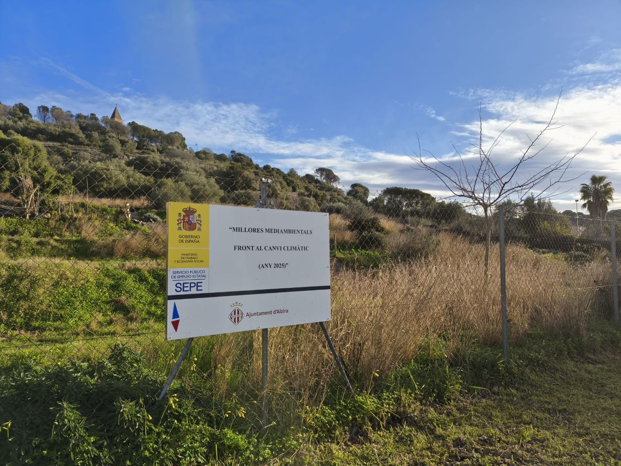 El col·legi Ausiàs March celebra la seua quarta setmana del Medi Ambient i la Pau amb tallers i eixides als camps.