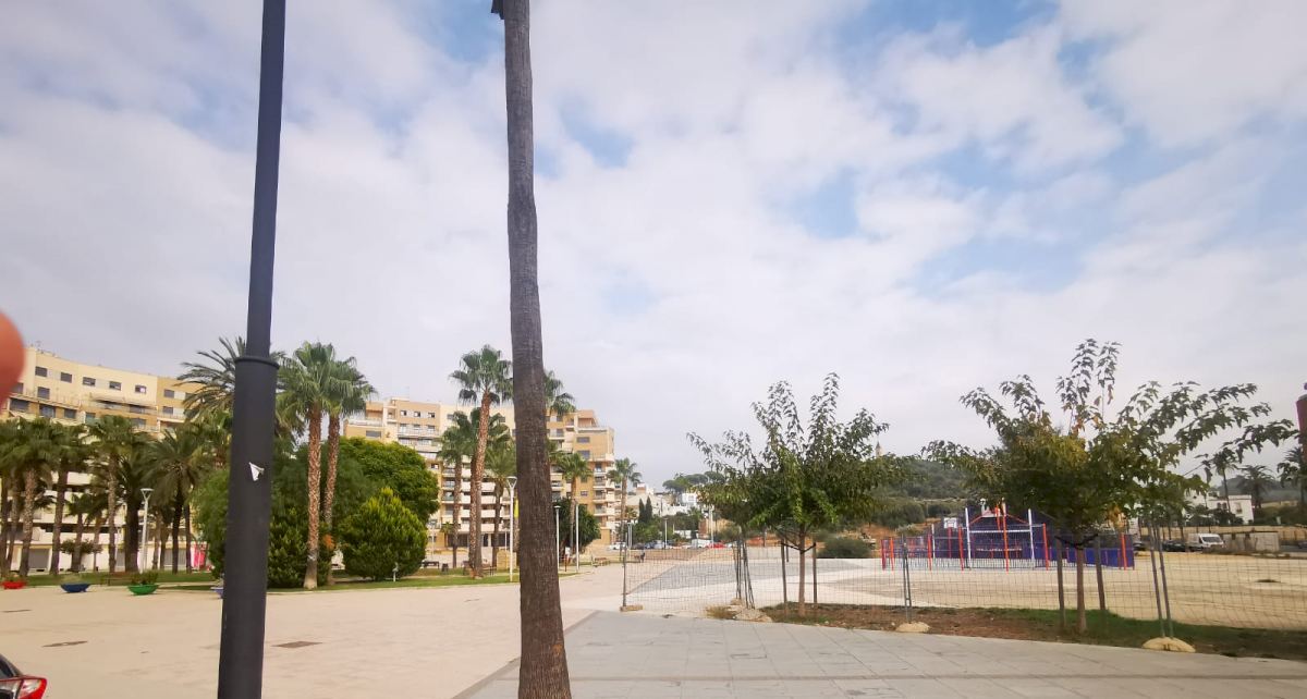 L´Ajuntament d´Alzira instal·larà pèrgoles vegetals a les places de la Generalitat i dels Cartonatges per combatre la calor.
