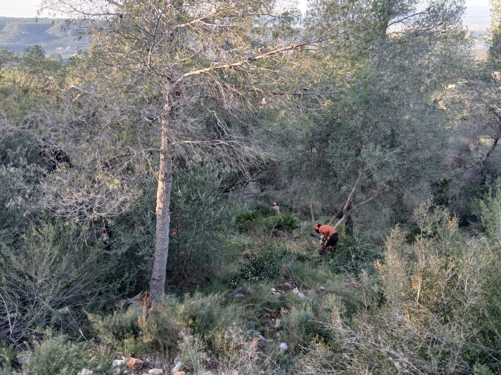 L’Ajuntament d’Alzira mamprén les obres de la faixa perimetral de la urbanització del Respirall