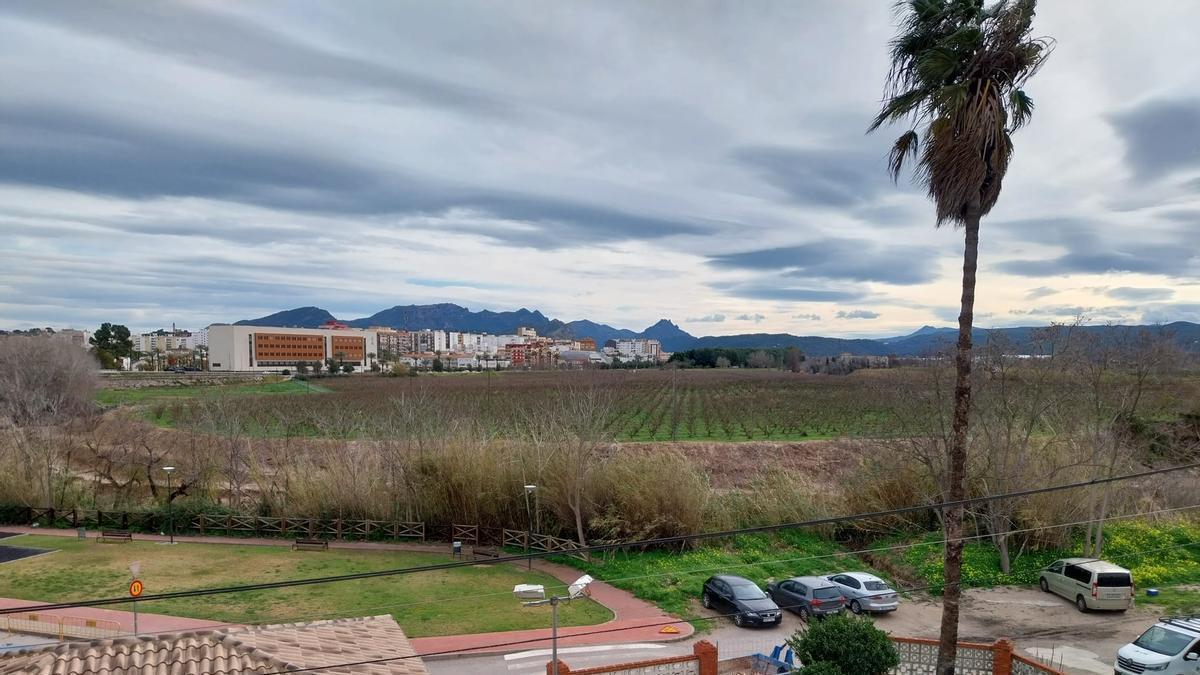 Alzira projecta un parc fluvial a l´Hort de Redal amb zones de bany i bosc de ribera.
