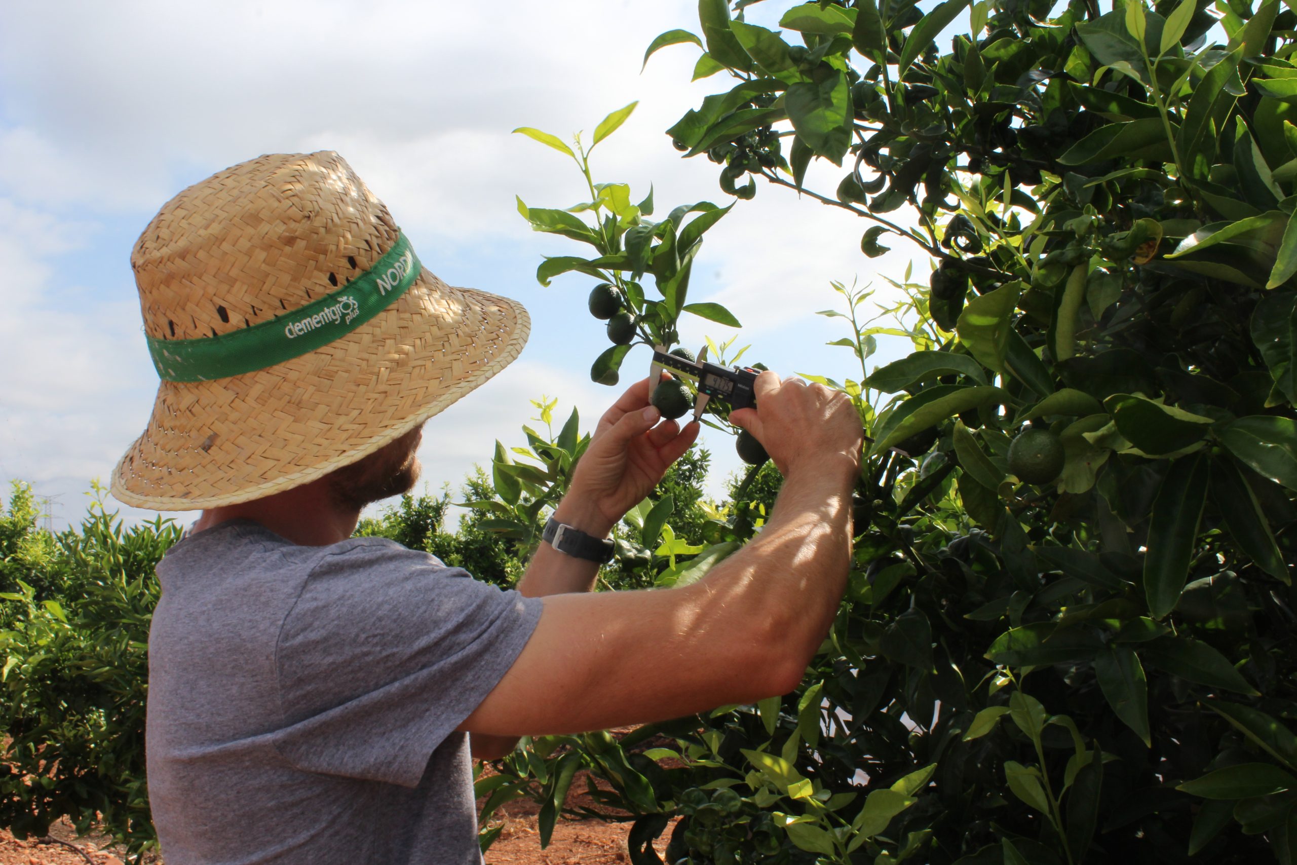 La Unió reclama a la Conselleria d’Agricultura una ampliació urgent del pressupost per evitar que joves agricultors queden fora de les ajudes