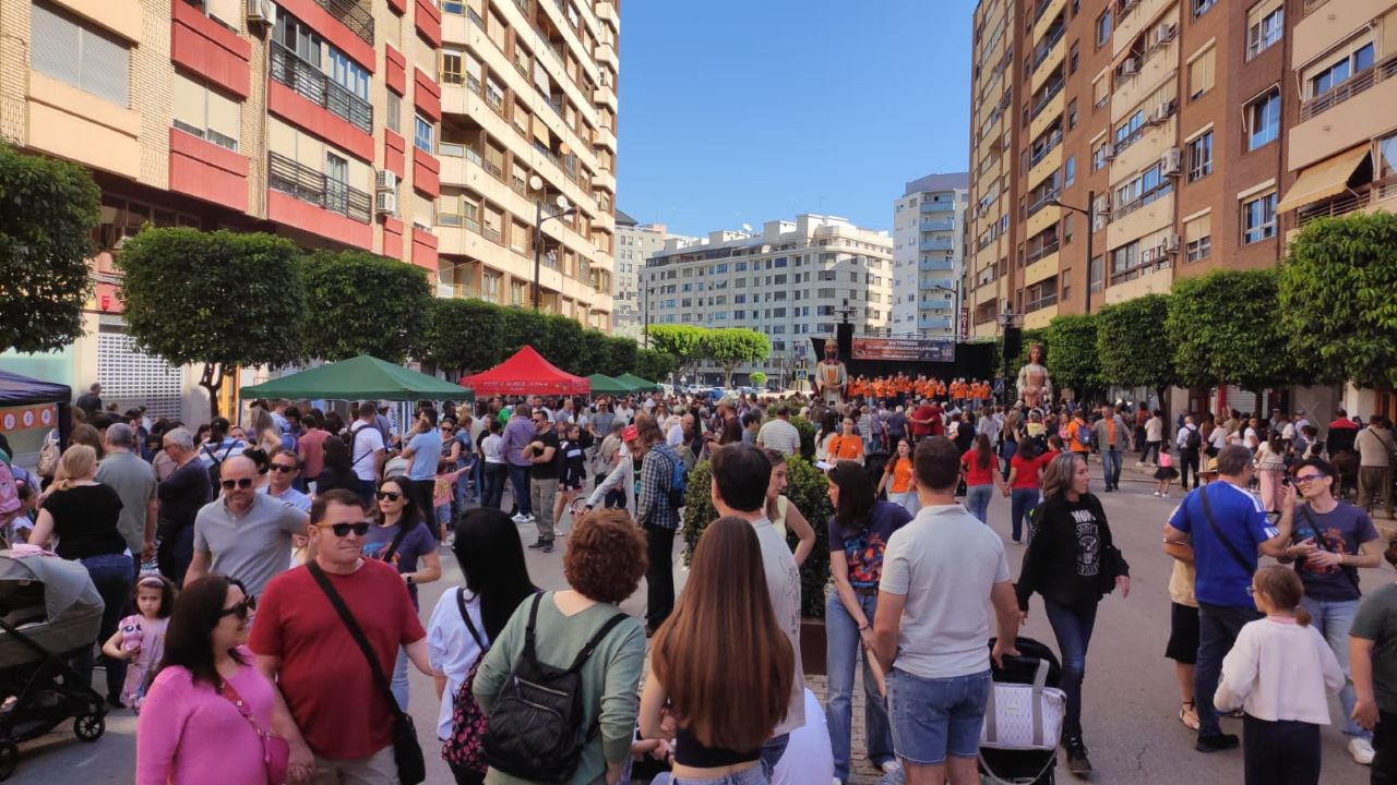 La 41a Trobada d’Escoles en Valencià celebrada a Alzira,  va reunir a prop de 20.000 persones