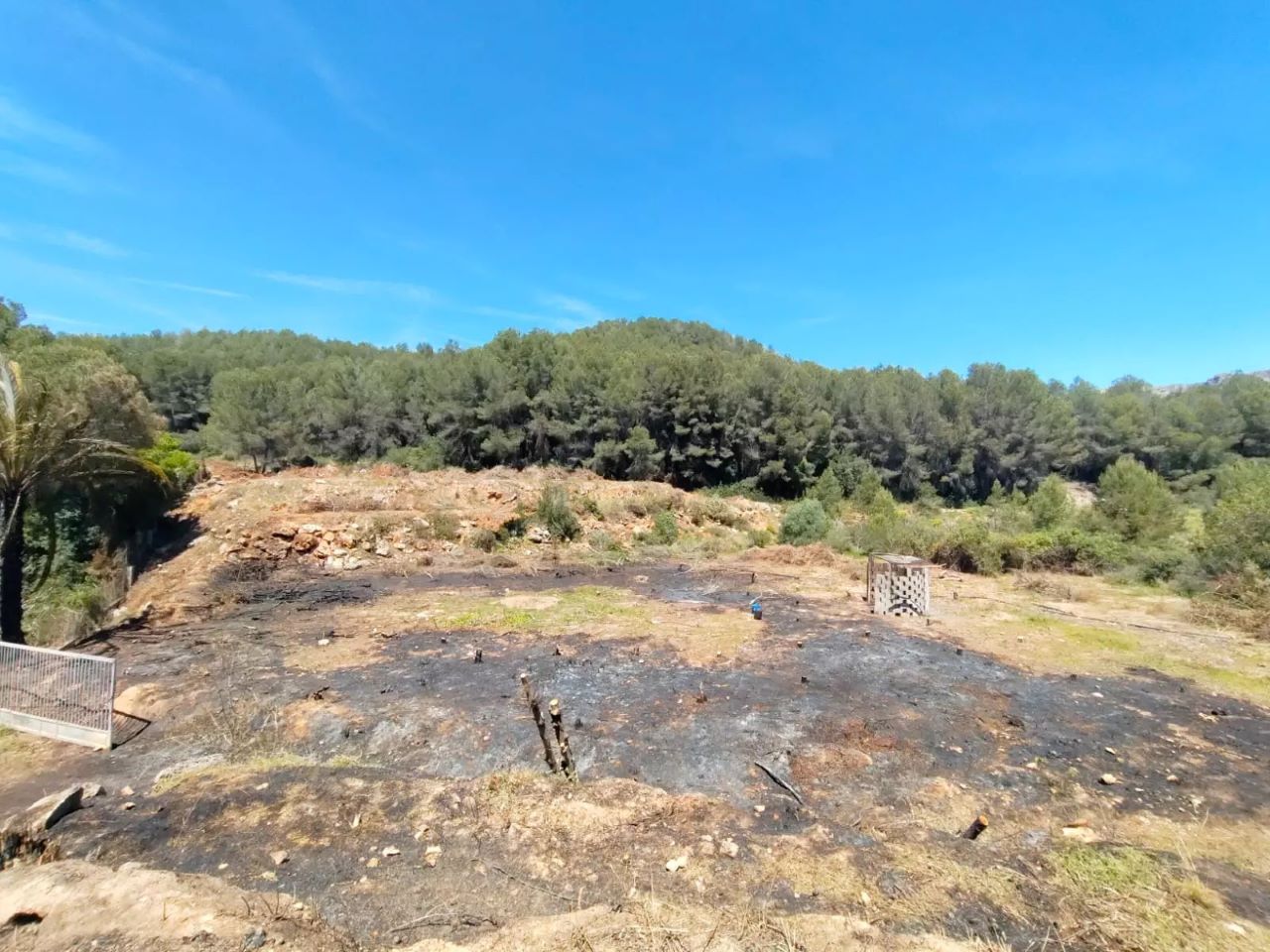 L’Ajuntament d’Alzira anuncia que emprendrà accions legals i ha obert una investigació per esclarir les causes de l’incendi que va afectar les Valletes de Gallo