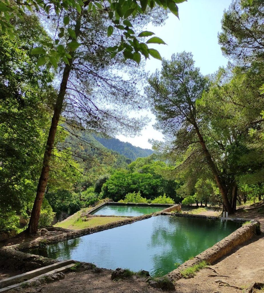 Alzira posa en marxa un simulacre d’incendi forestal a la Murta i la Casella per comprovar l’eficàcia del pla d’evacuació davant emergències