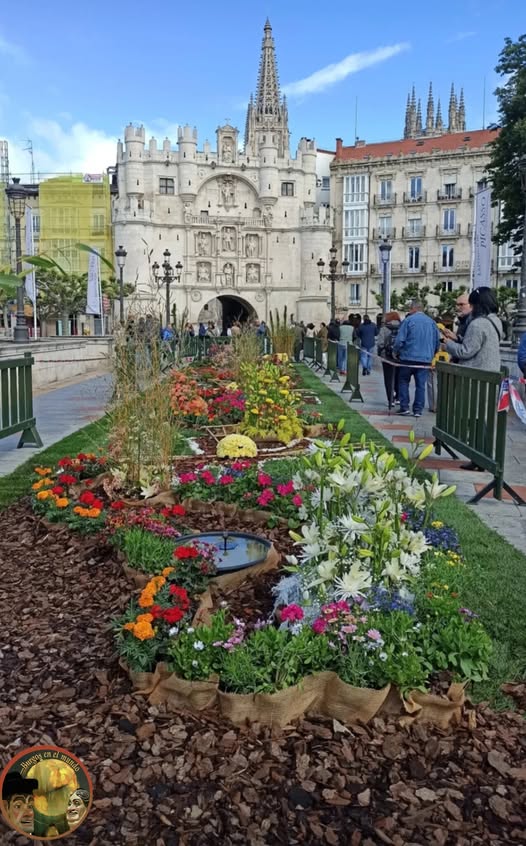 L’Escola d’Art Floral d’Alzira rep el premi al treball més fotografiat del públic a la Festa de les Flors de Burgos