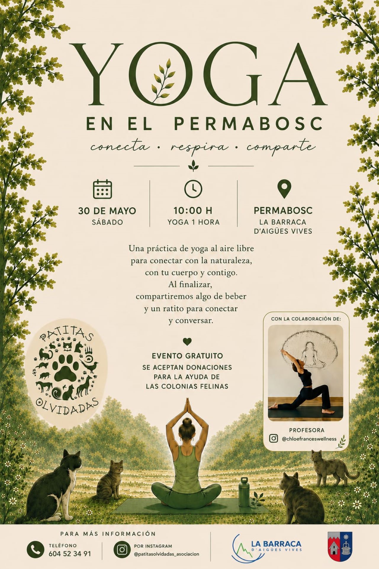 La Barraca d’Aigües Vives acull este dissabte una jornada de ioga, ecologia i solidaritat al “Permabosc”