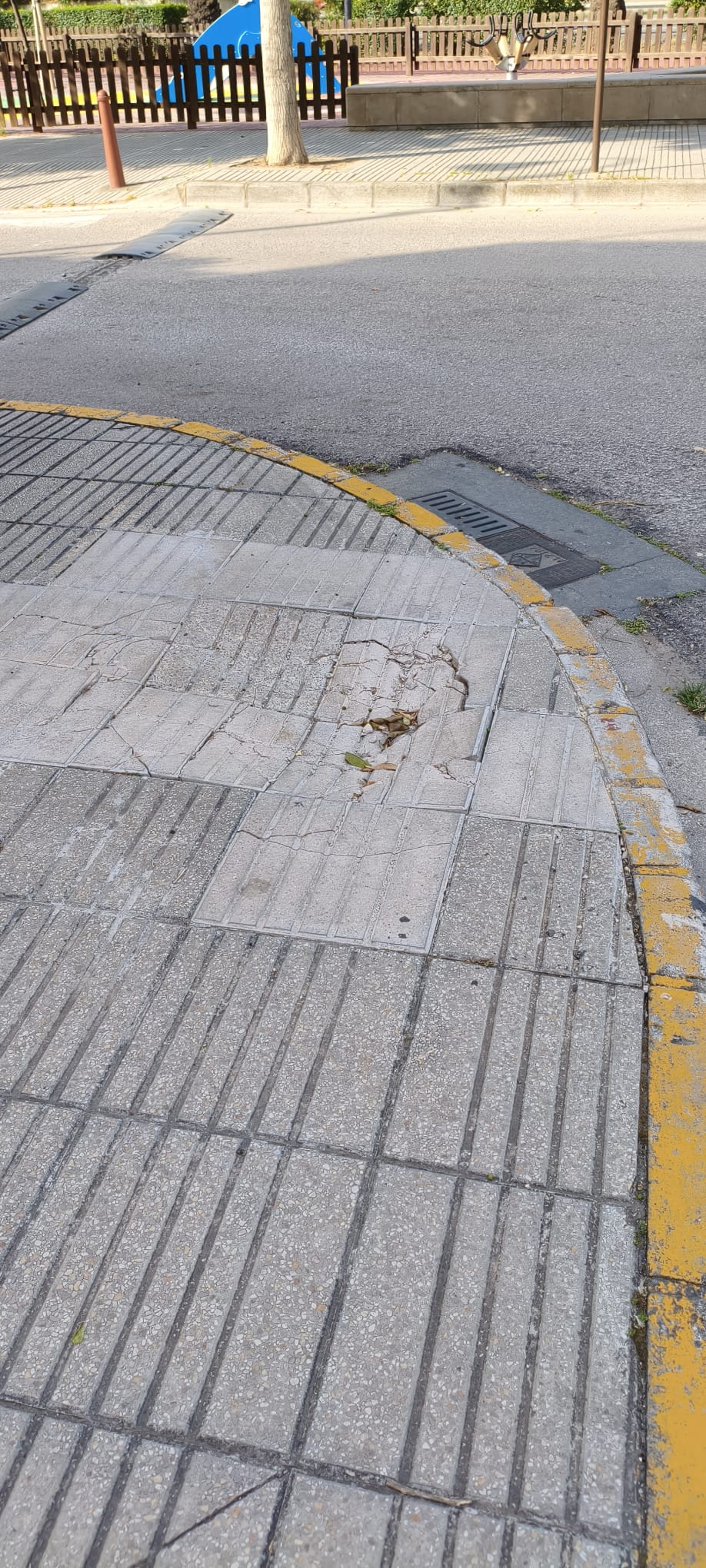 El Partit Popular d’Alzira denuncia el deteriorament urbà i la falta de manteniment en diversos punts de la ciutat
