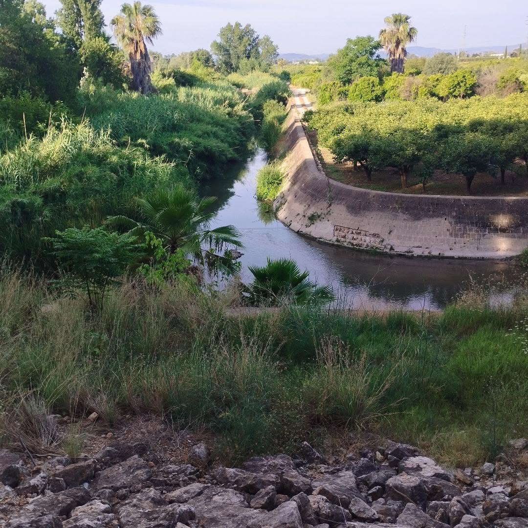 Començaran a finals de mes les obres de la nova confluència entre els barrancs de Barxeta i la Casella a Alzira per reduir el risc d’inundacions