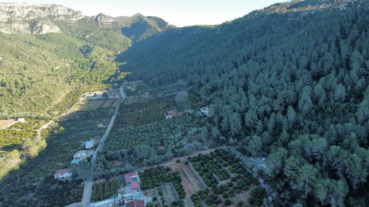 Alzira trasllada al sector agrícola les noves normes de prevenció d’incendis que regulen l’ús de maquinària en zones forestals