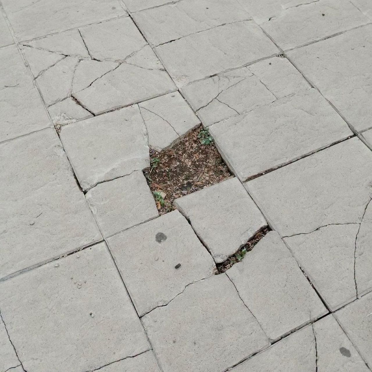 L’Ajuntament d’Alzira ha aprovat diverses modificacions de crèdit per fer ús d’un milió cent mil euros