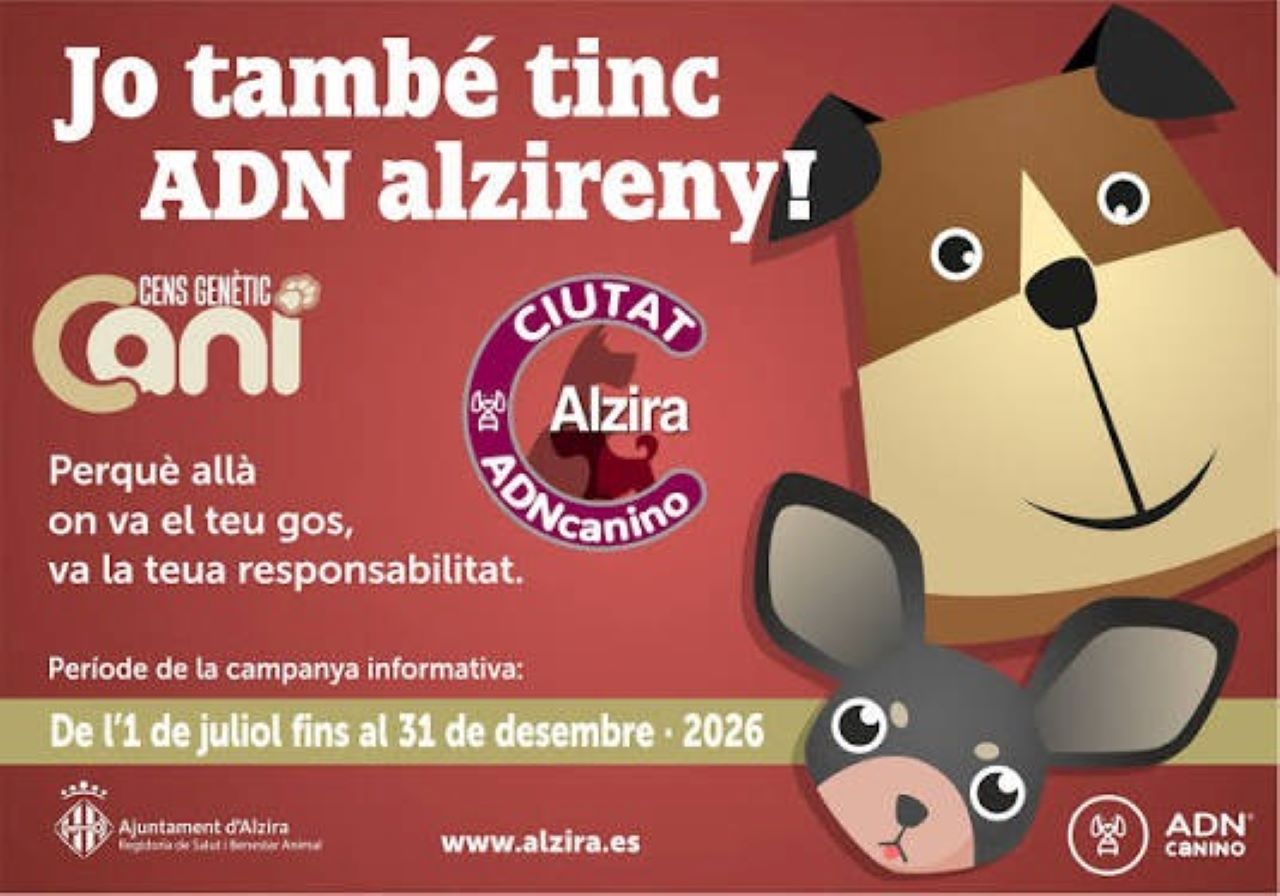 Alzira inicia hui la campanya de registre de l’ADN caní per a la implantació obligatòria del cens