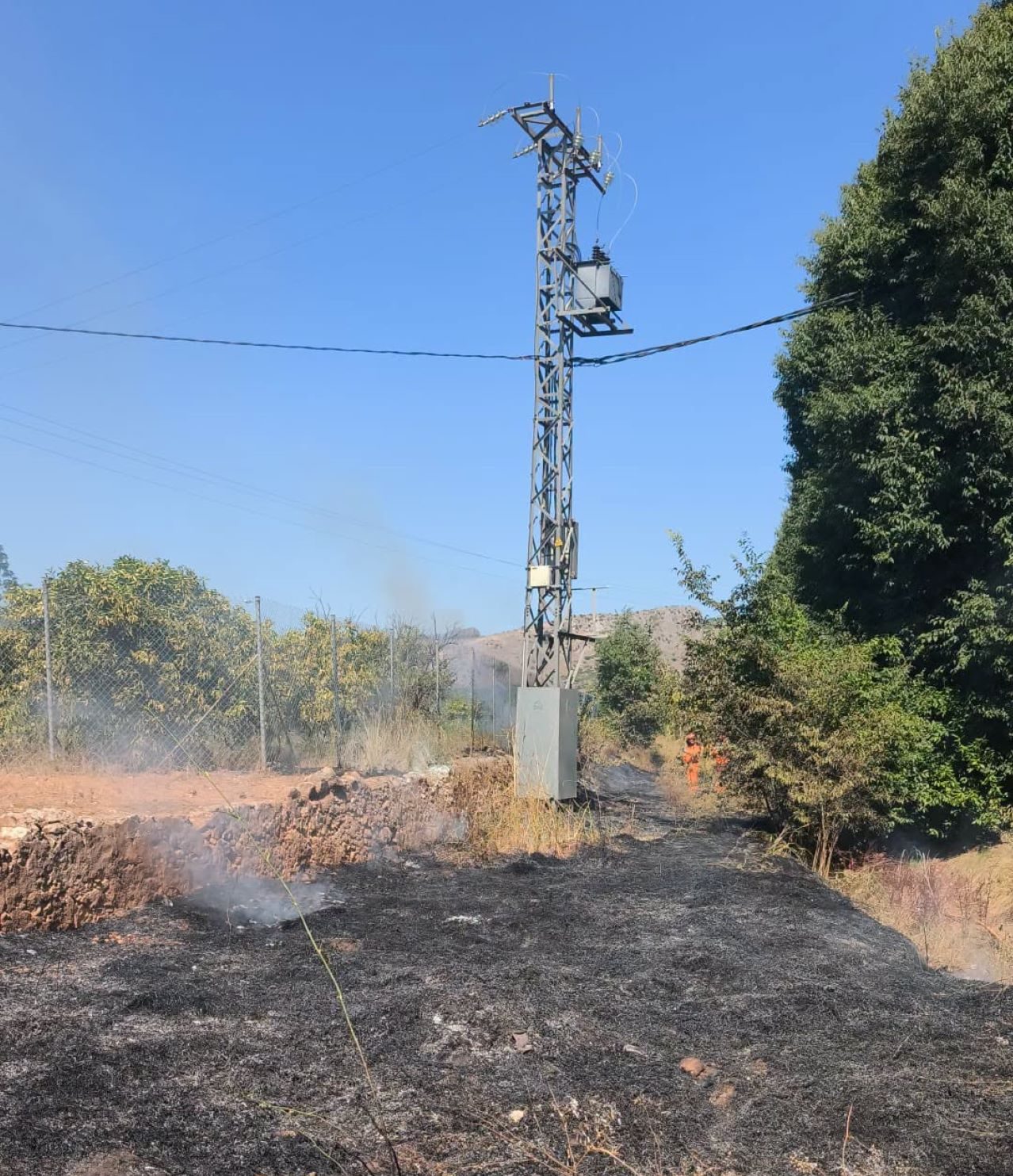 L’incendi declarat ahir al barranc de l’Estret d’Alzira va quedar controlat ràpidament i no va causar danys personals