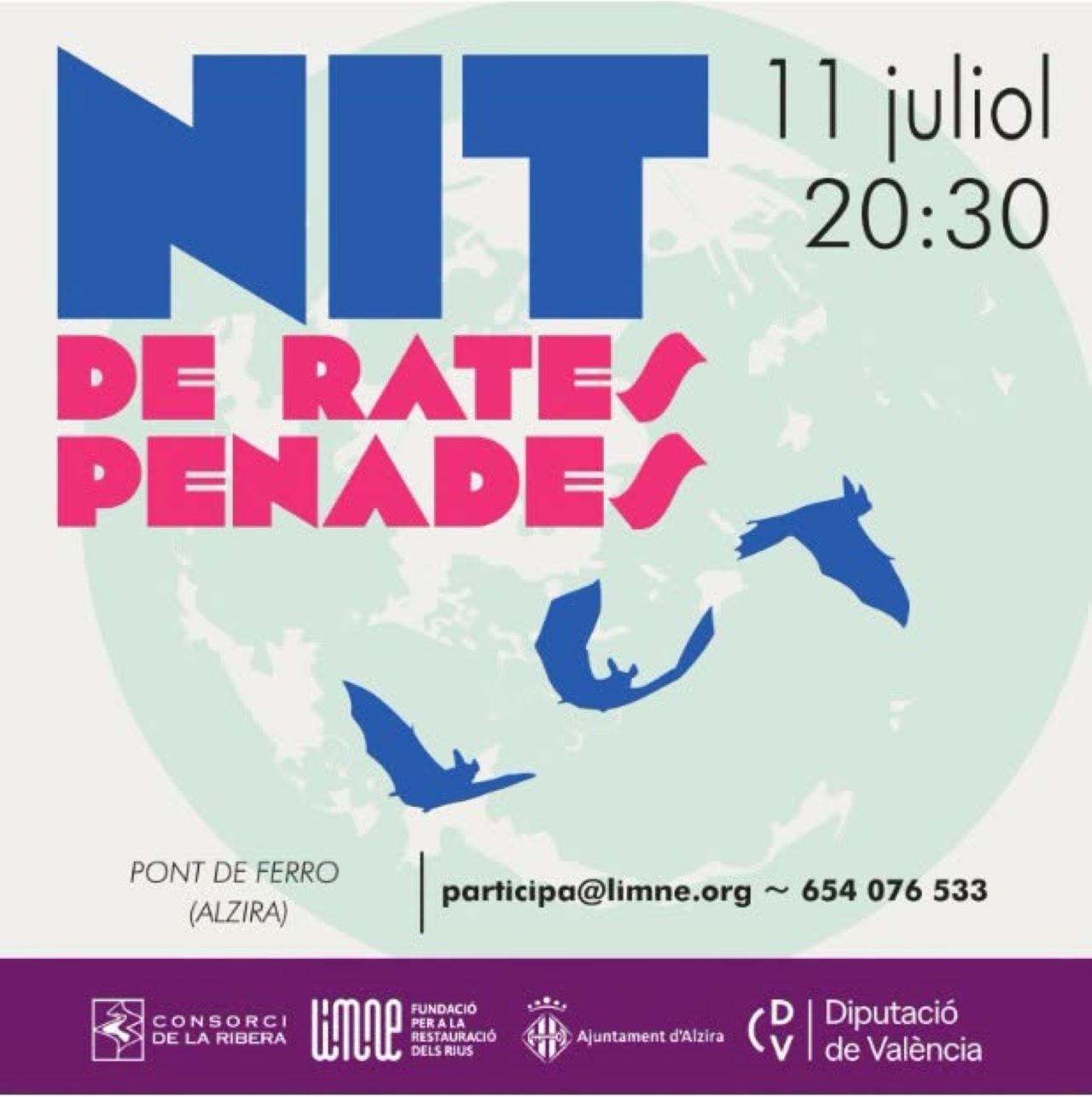 Alzira celebra demà la Nit de les Rates Penades per a donar a conéixer el seu paper en els ecosistemes
