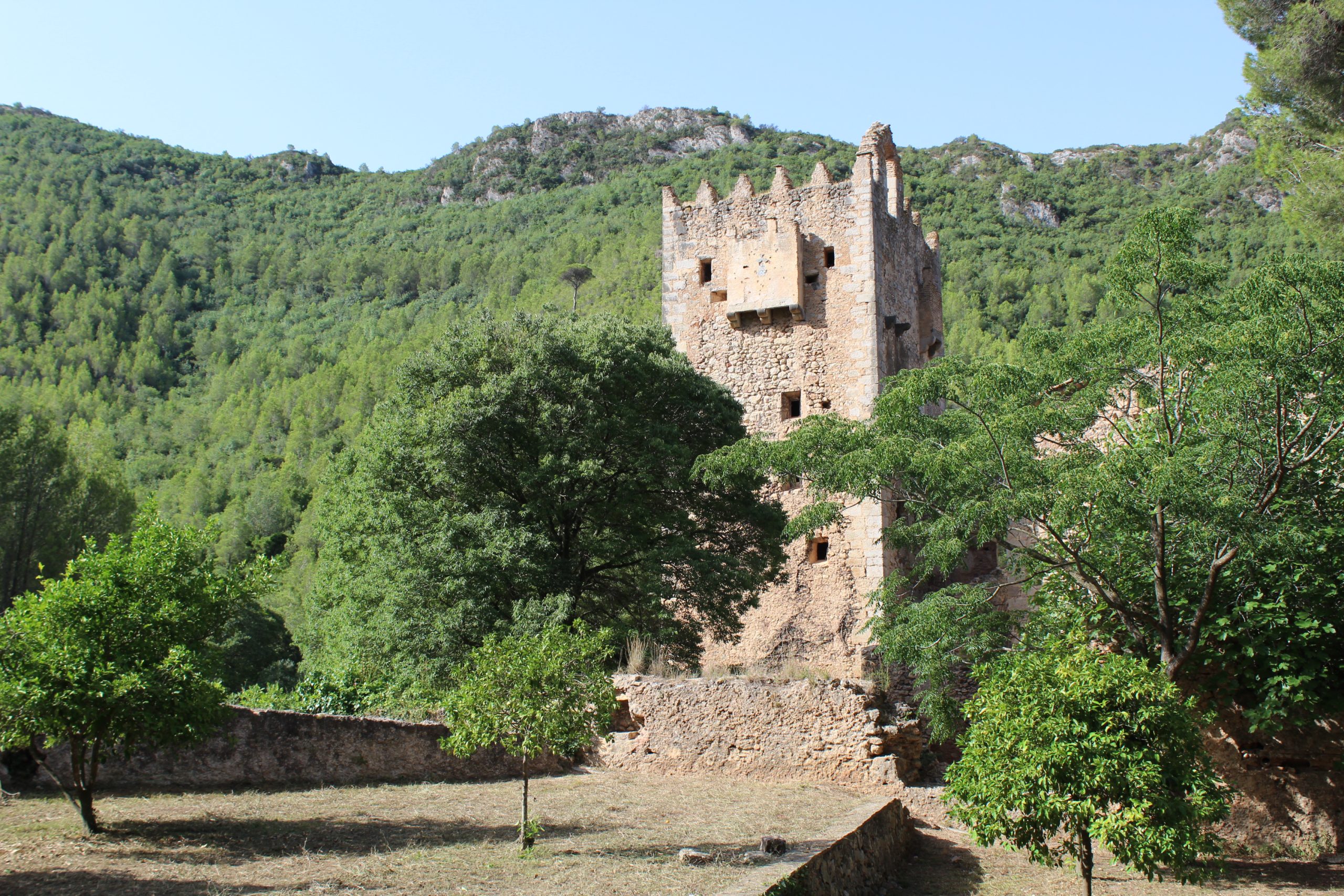 Alzira dona llum verda a la restauració de la Torre dels Coloms del Monestir de la Murta amb una inversió de més 1,6 milions d’euros
