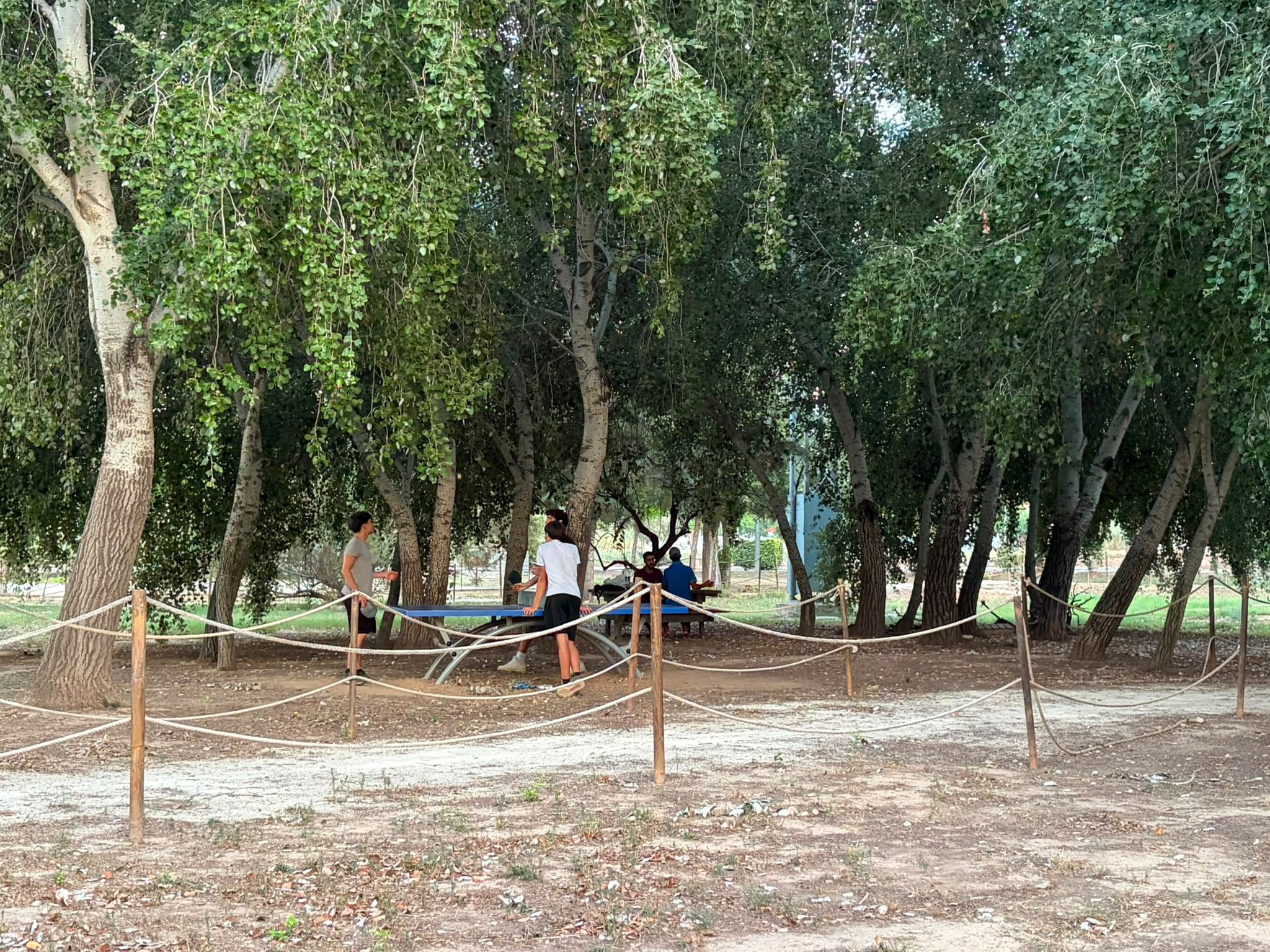 Alzira incorpora nou mobiliari urbà d’oci i esport gràcies a una subvenció del Consorci de la Ribera per als municipis afectats per la dana