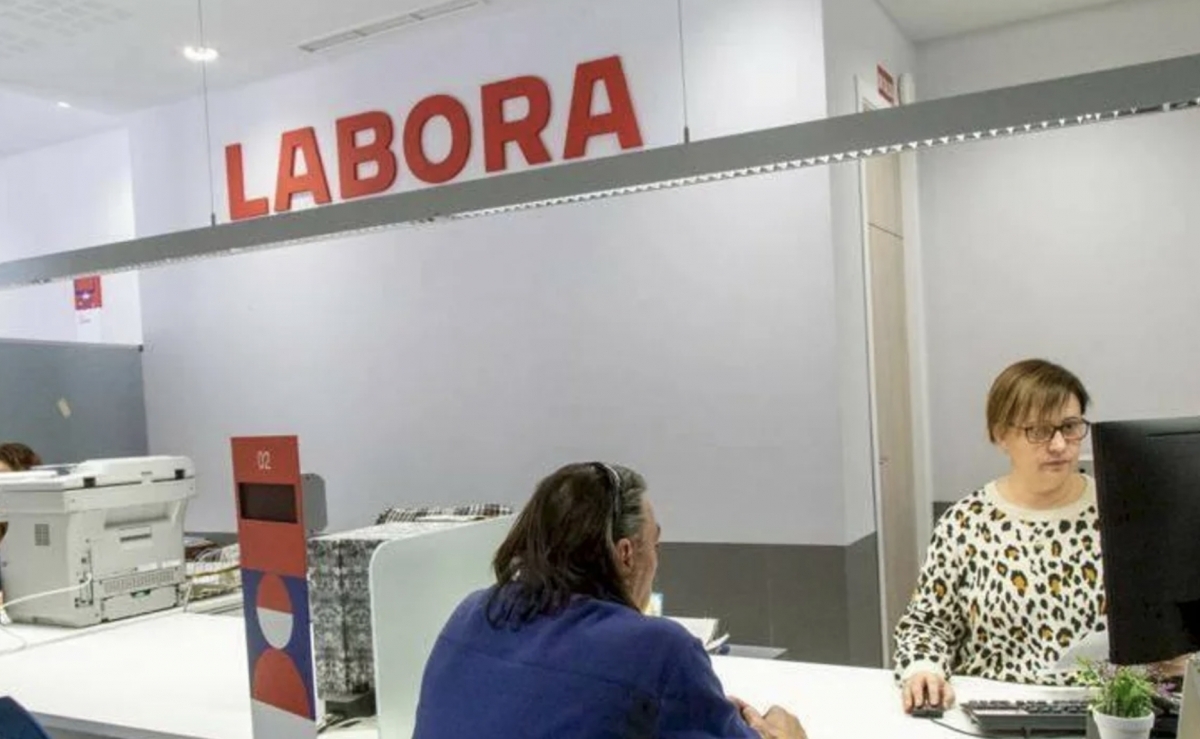 LABORA impulsa 8 cursos de formació professional i el projecte EMPLEAVERDE per millorar la ocupabilitat i les competències laborals de les persones en atur d’Alzira