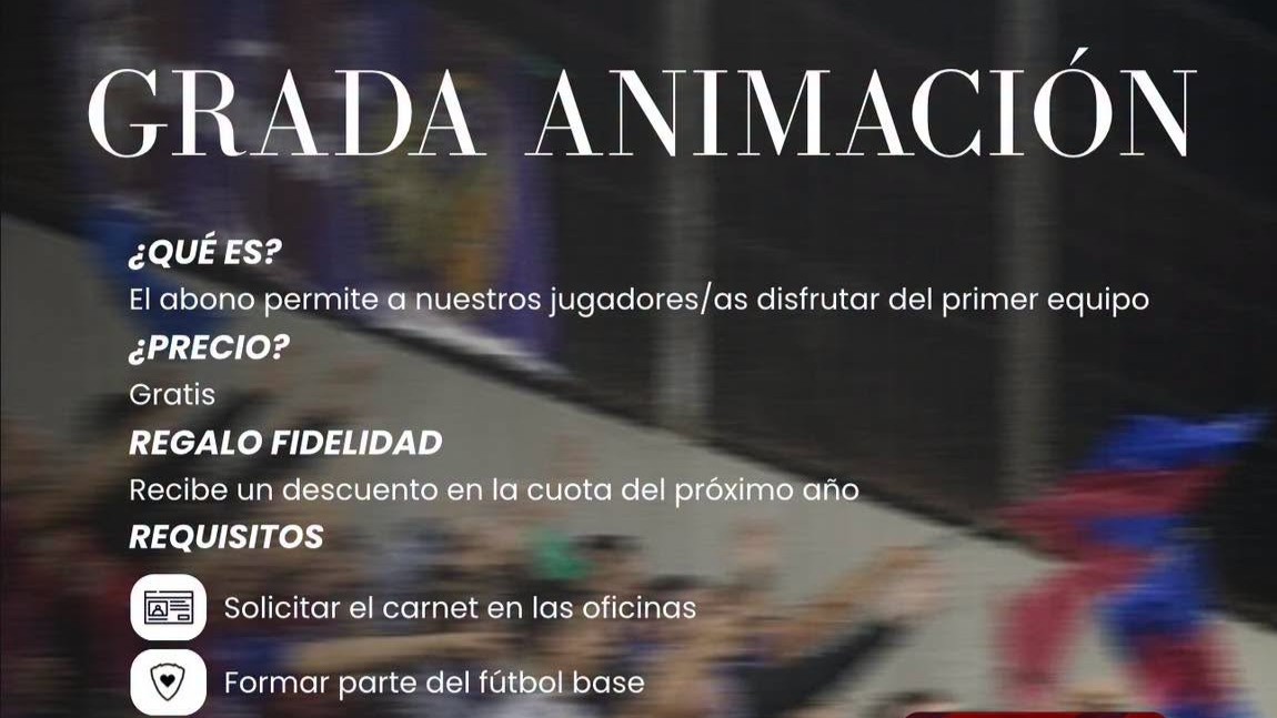 La UD Alzira vol crear una grada d’animació jove