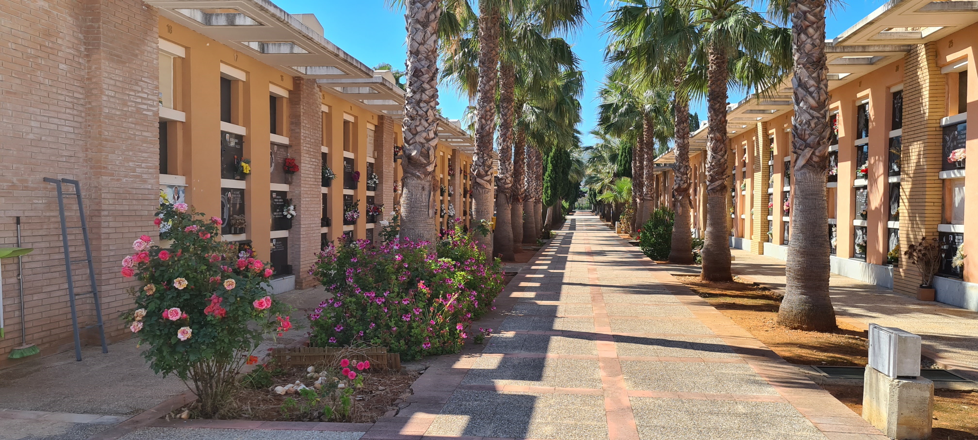L’Ajuntament d’Alzira destinarà al voltant de 600.000 euros a la reforma del conjunt de nínxols Sant Bernat al cementeri municipal davant el risc d’enfonsament