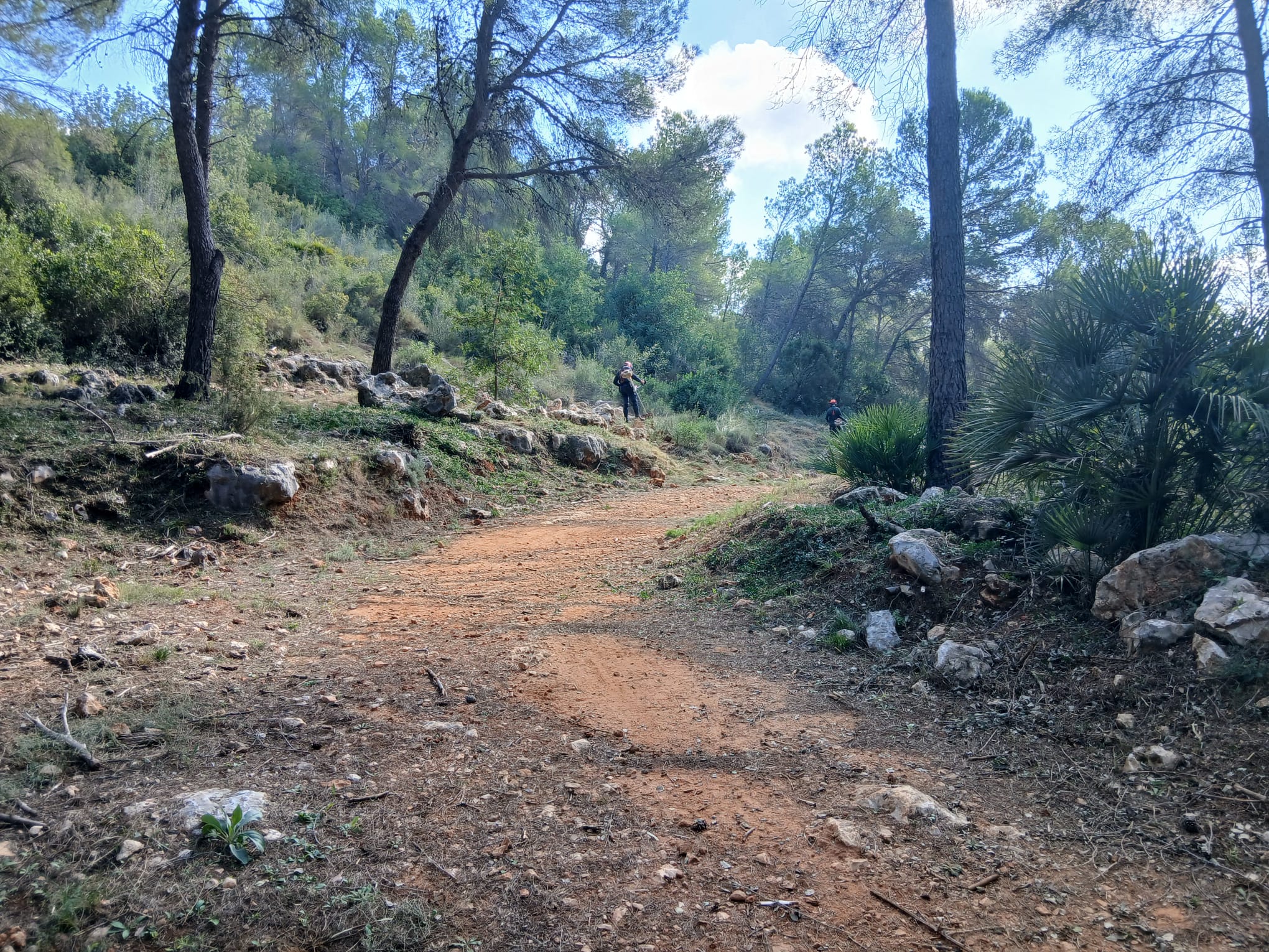 L’Ajuntament d’Alzira destina 22.800€ a la prevenció d’incendis forestals a Valletes i El Racó