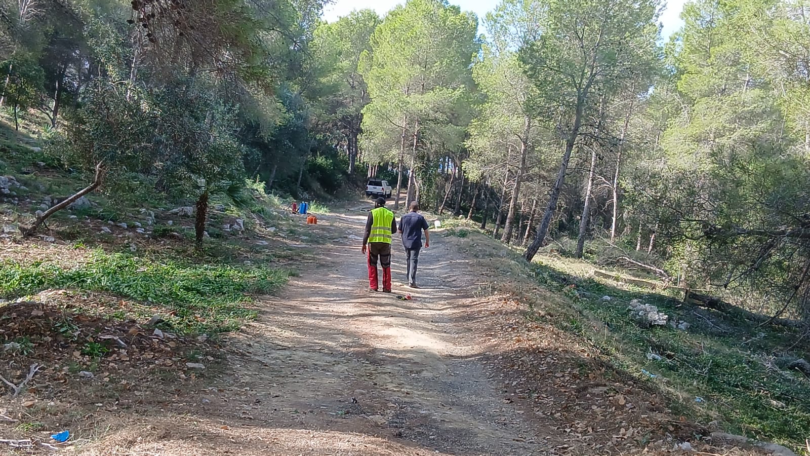 L’Ajuntament d’Alzira inicia l’execució subsidiària d’una franja perimetral davant incendis forestals a Sant Bernat i el Xavegó