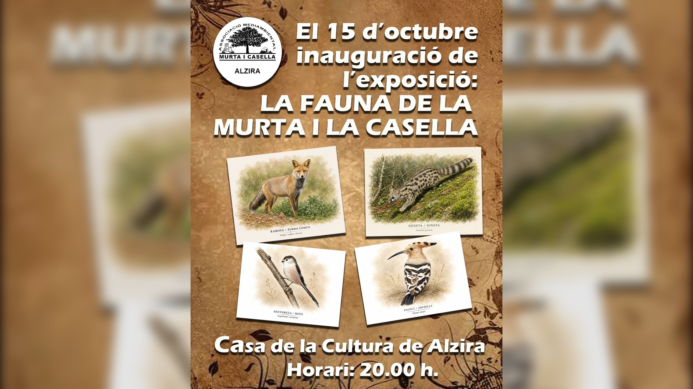 La Setmana del Medi Ambient d’Alzira arranca amb un llibre sobre la Muntanyeta i una exposició sobre la fauna de la Murta i la Casella