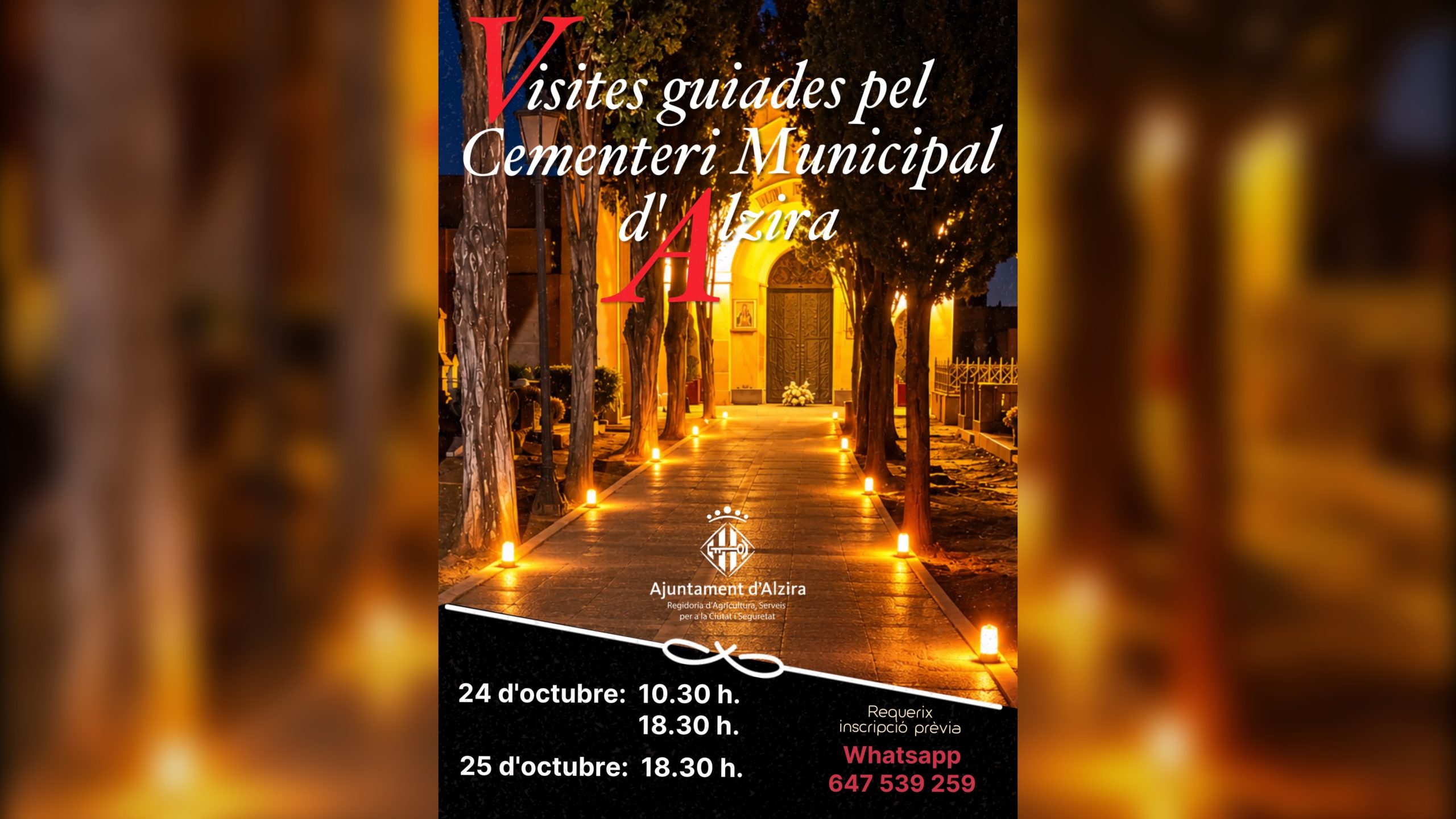 Les visites guiades al cementeri d’Alzira esgoten les 90 places en només 48 hores